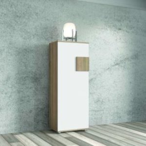 MUEBLE ZAPATERO F3011