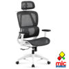 Sillon ergo blanco y negro 1