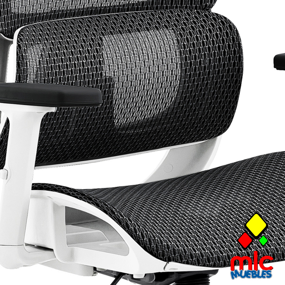 Sillon ergo blanco y negro