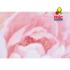 yacops-cuadro-lienzo-flores-enmarcado-20260727-190456-03-cuadro-lienzo-flores-enmarcado-40-03-blanco Cuadro lienzo flores enmarcado (40) - 03_blanco