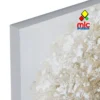 Cuadro lienzo árbol (40) - 02_blanco
