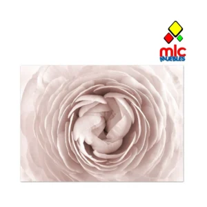 Lienzo 50x70 Rosas (28) - 01_principal